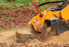 Leaf Removal in Forestbrook, SC